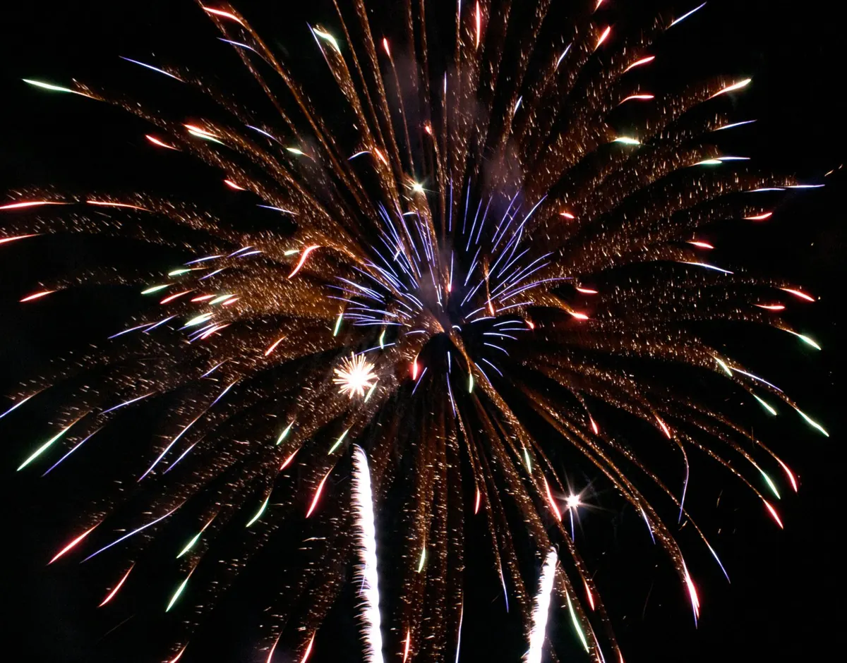 Policing Bonfire Night: Safety Advice, Powers and Community Preparations